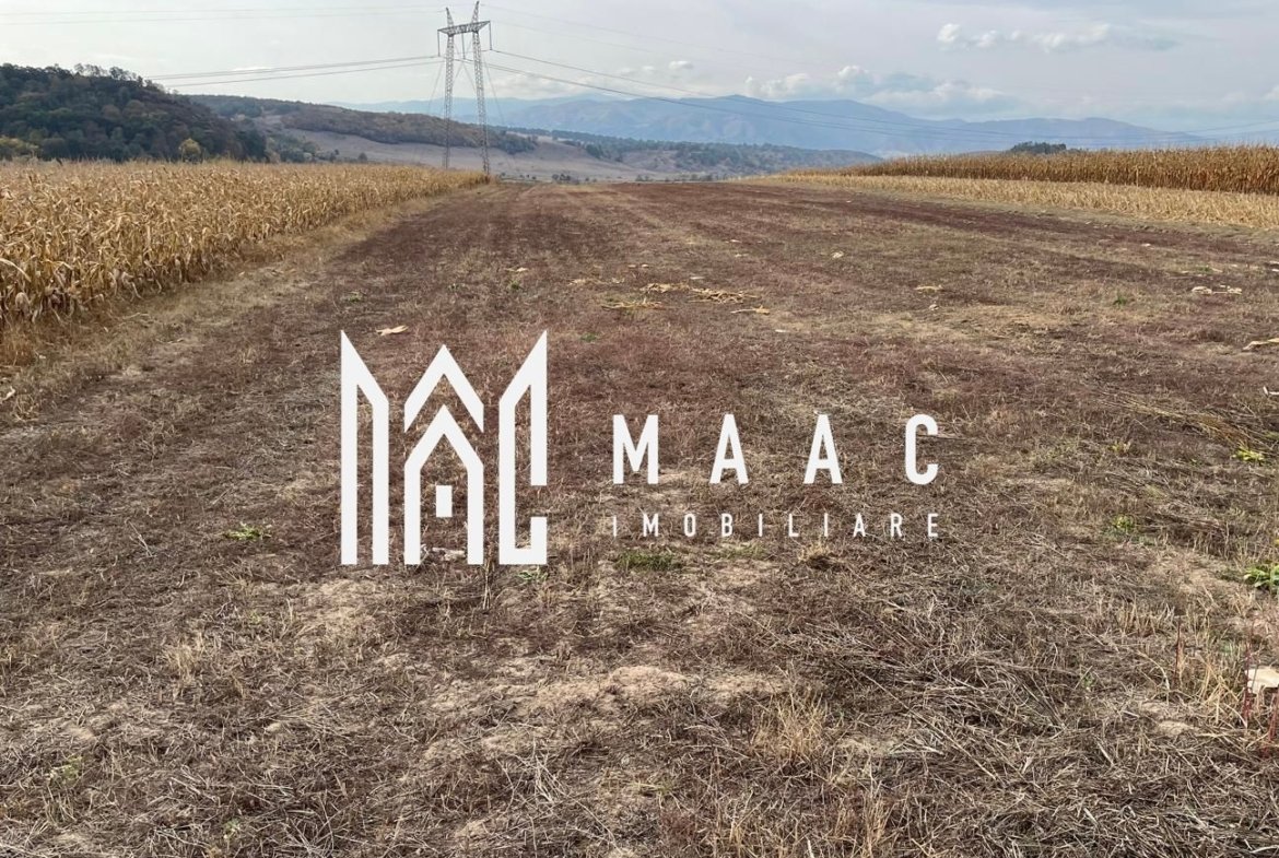 Teren extravilan de vânzare | Daia | 8.000 mp | agricol