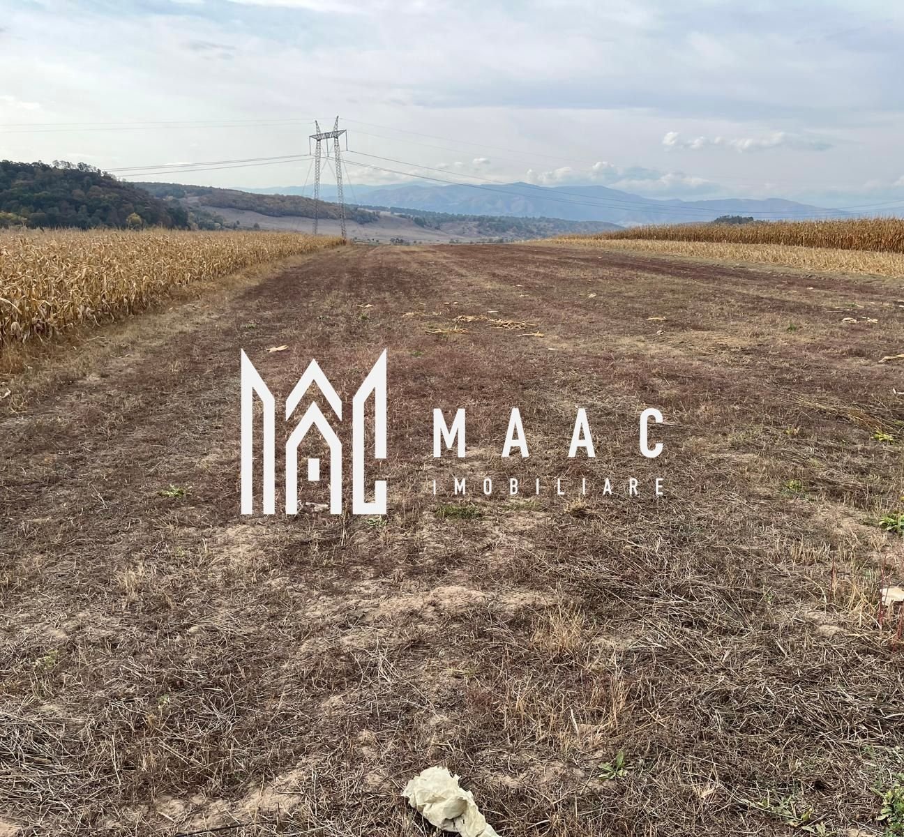 535b33342e584e8f89a208c977b29026 Teren extravilan de vânzare | Daia | 8.000 mp | agricol
