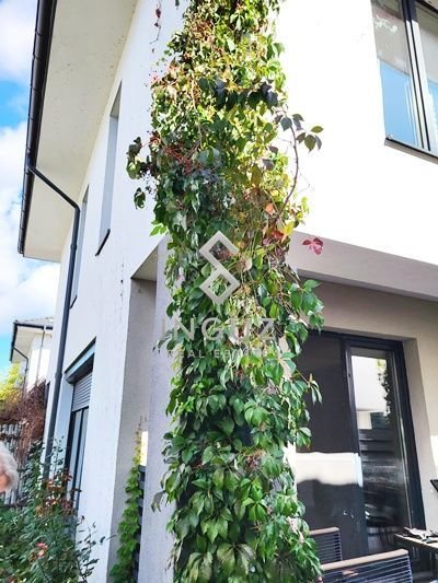DE ÎNCHIRIAT – CASĂ TIP DUPLEX | PIPERA – PĂDUREA MATEI MILLO