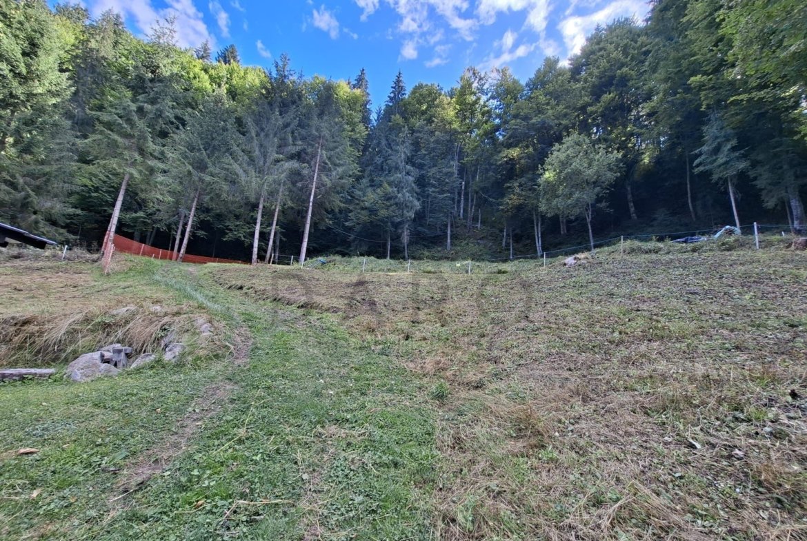 Teren intravilan la munte