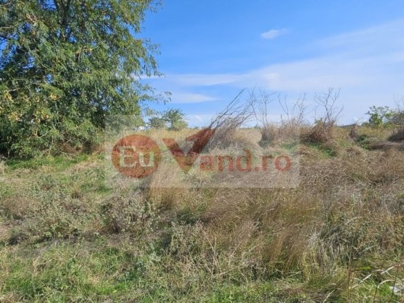 Teren intravilan 1.666 mp – Smârdan – Zonă în dezvoltare, 20 euro/mp