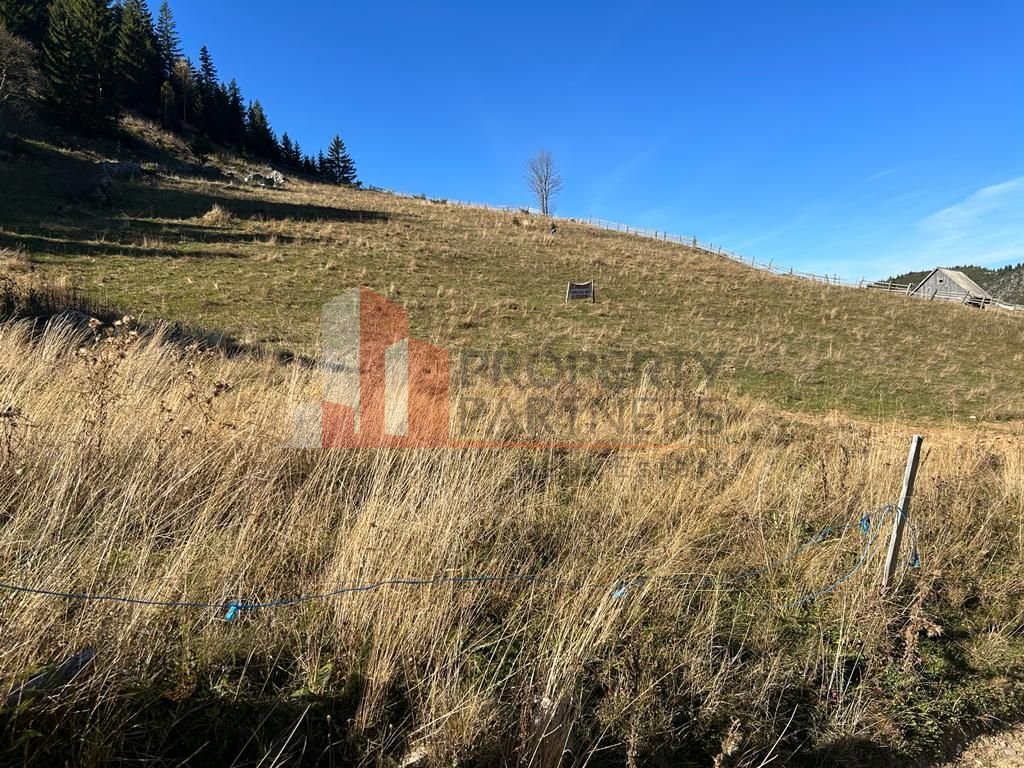 Teren Fundatica intravilan 4500 mp