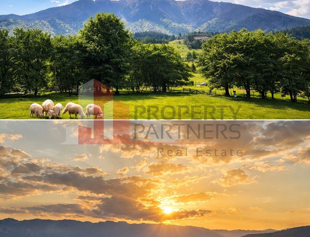 Teren cu priveliște spectaculoasă în Bran – Sohodol