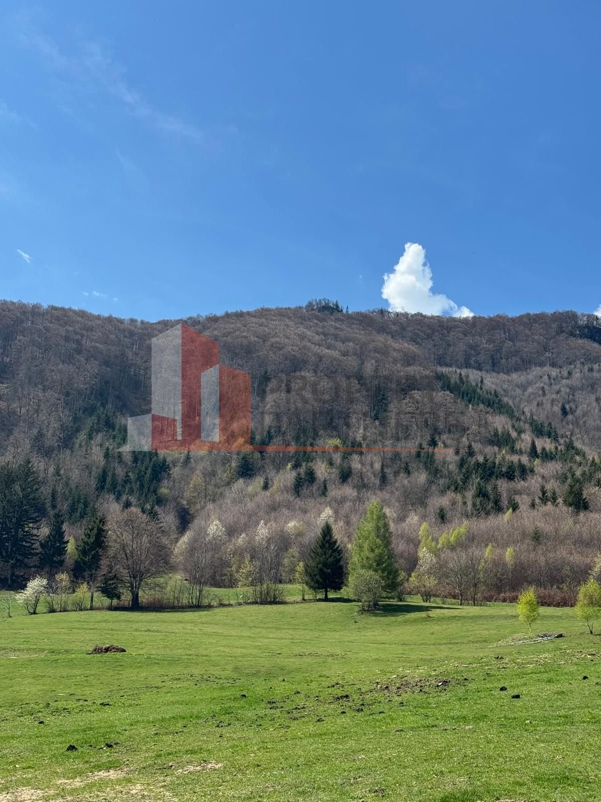 687148bc9b294c7c8fb70a60f00cf3cb Terenuri Bran – Predelut Priveliște către Bucegi și Postăvaru