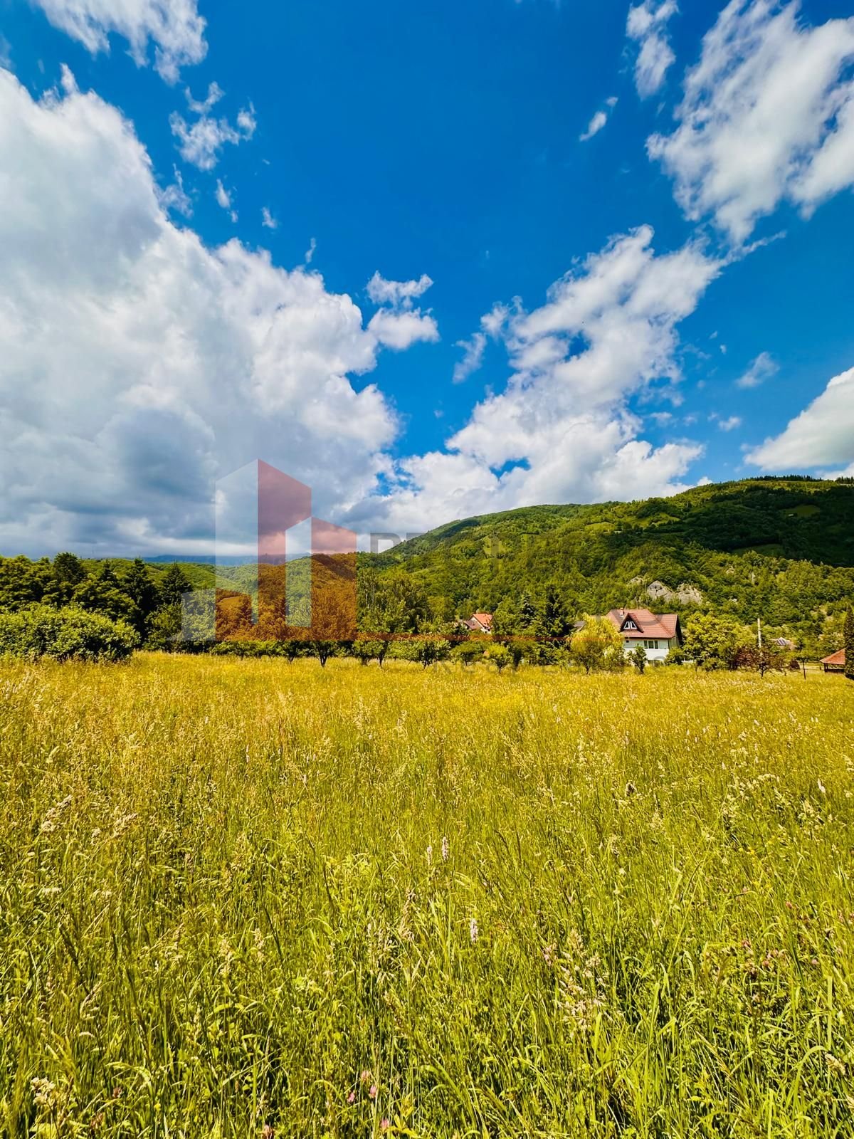 6b844d5e847a428cab4f8dd1fd5f7e99 Teren intravilan Bran 2.772 mp | Vedere Piatra Craiului | Potrivit pentru cabane