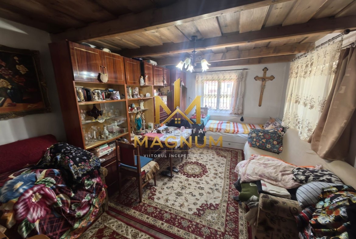 Casă P+M de vânzare | 450 mp teren | Centru Baia Sprie