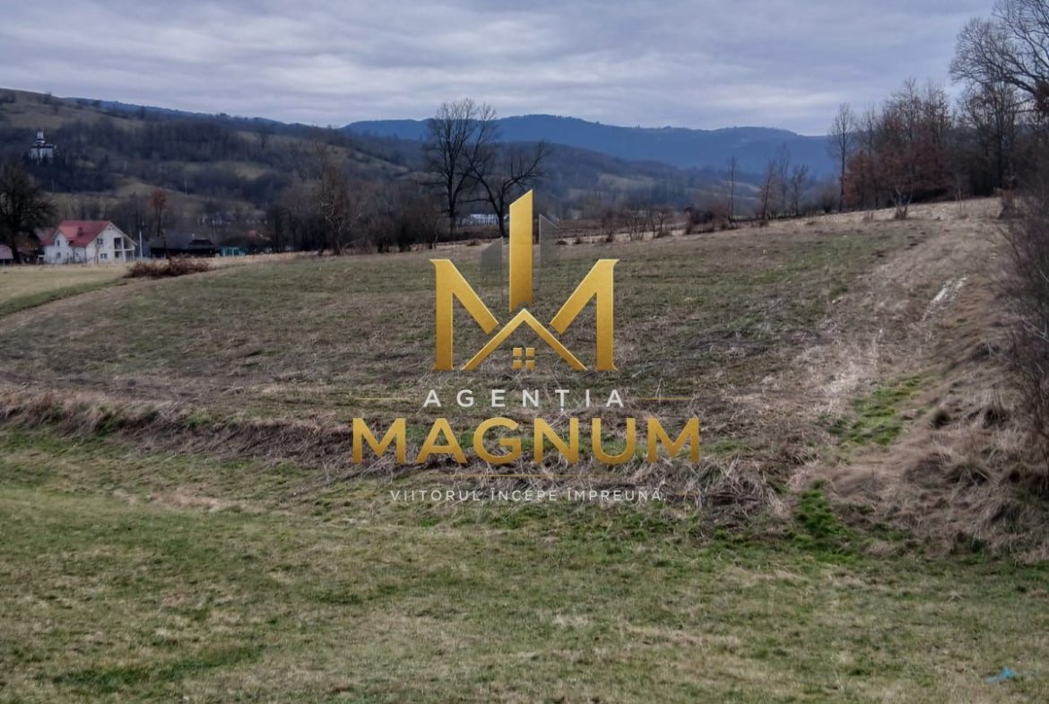 Casa de vanzare in Berinta Maramures