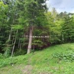 Teren intravilan de vanzare in Sinaia – Zona Furnica