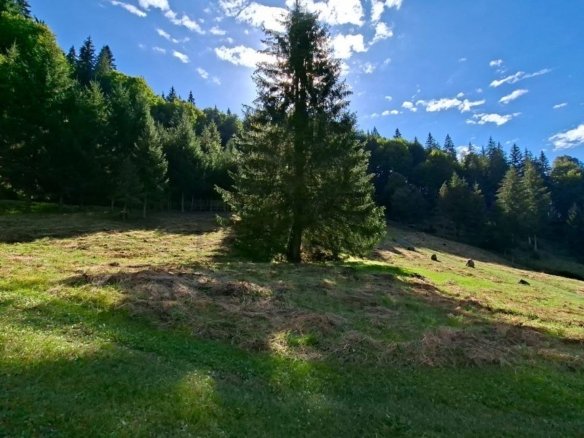 Teren intravilan la munte