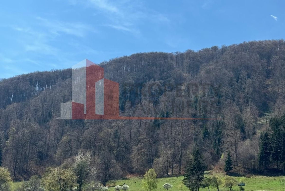 Terenuri Bran – Predelut  Priveliște către Bucegi și Postăvaru