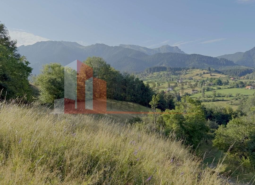 Teren Sohodol 10.398 mp  cu vedere panoramica