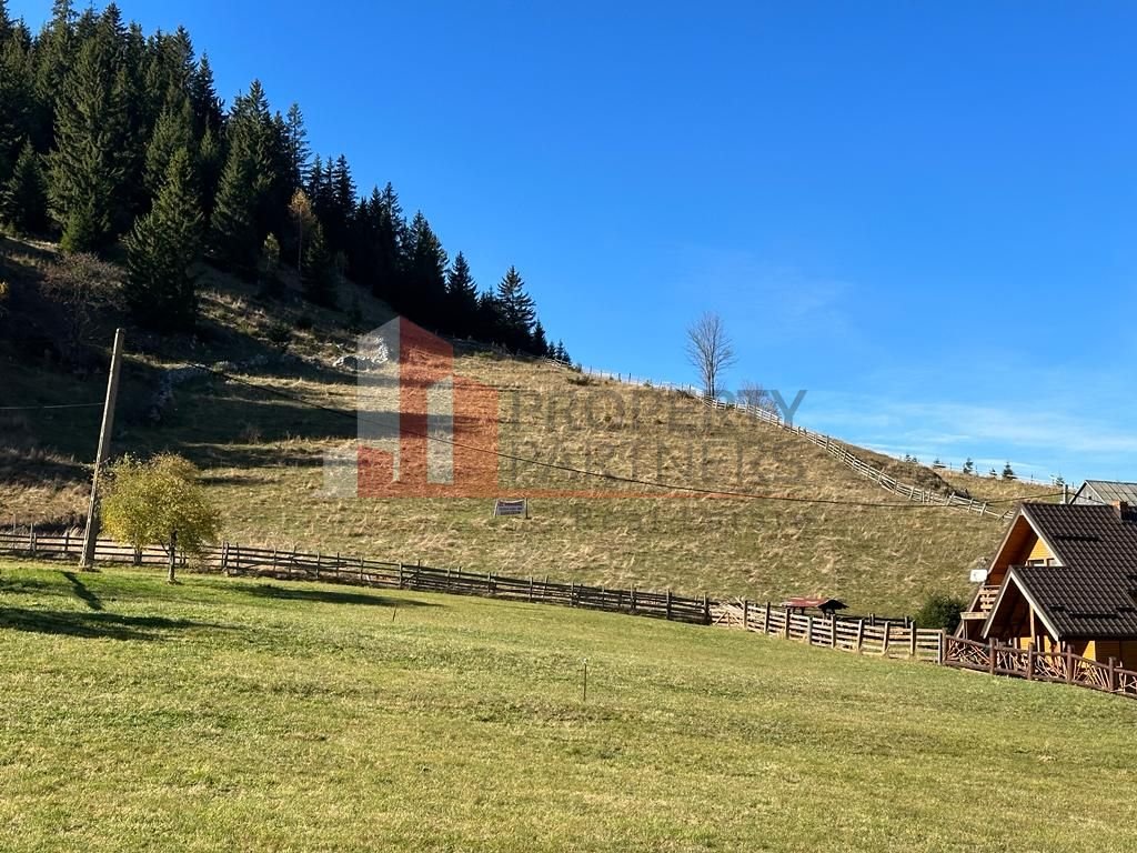 Teren Fundatica intravilan 4500 mp