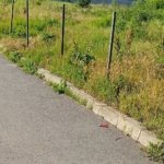 Teren Intravilan 5.000 mp București, Sector 6 (Giulești-Sârbi)