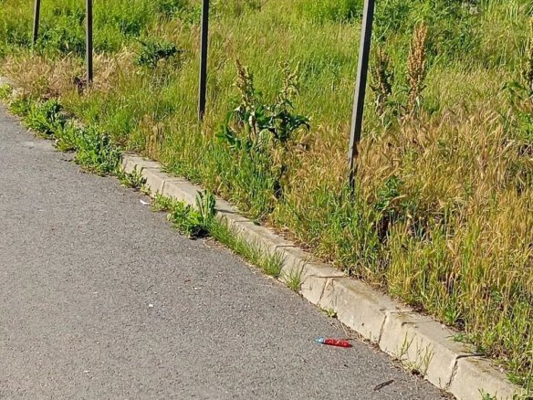 Teren Intravilan 5.000 mp București, Sector 6 (Giulești-Sârbi)