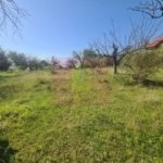 Teren de vanzare in Campina