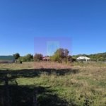 Teren intravilan 3.750 mp de vanzare in Campina