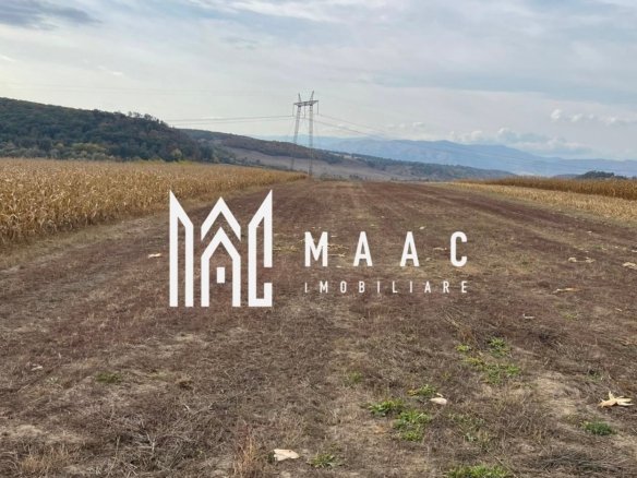 Teren extravilan de vânzare | Daia | 8.000 mp | agricol