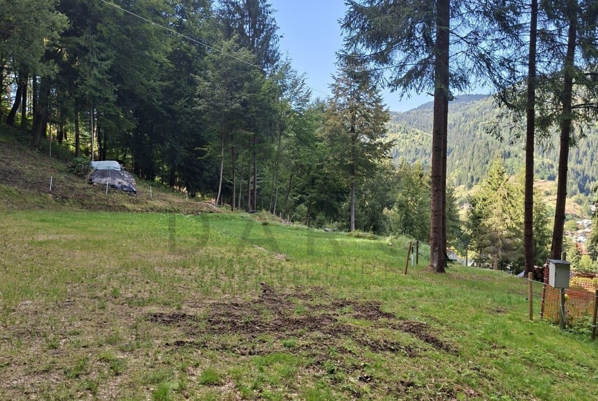 Teren intravilan la munte