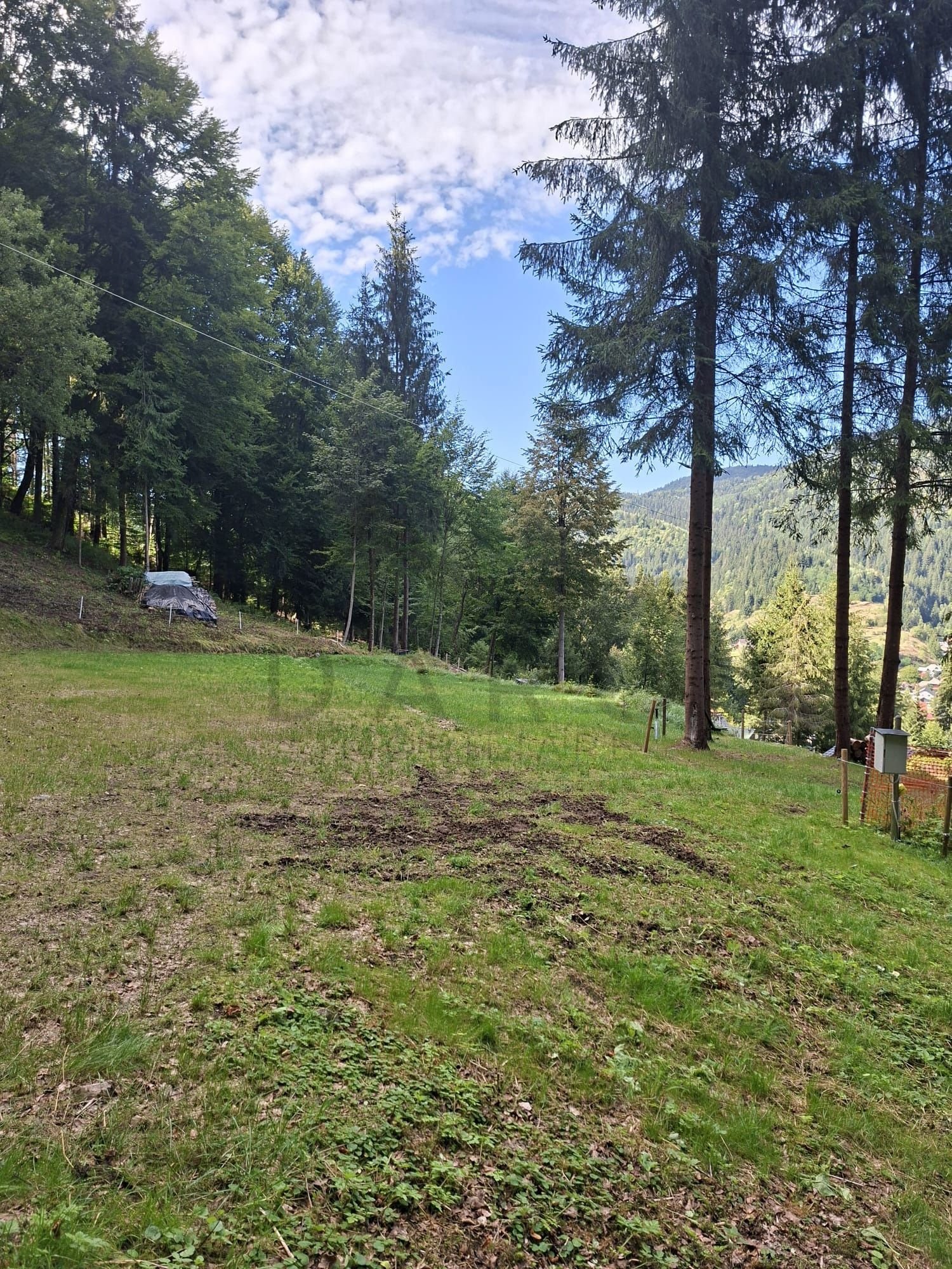 Teren intravilan la munte