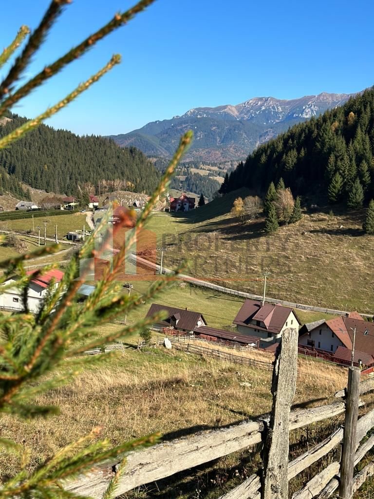 Teren Fundatica intravilan 4500 mp