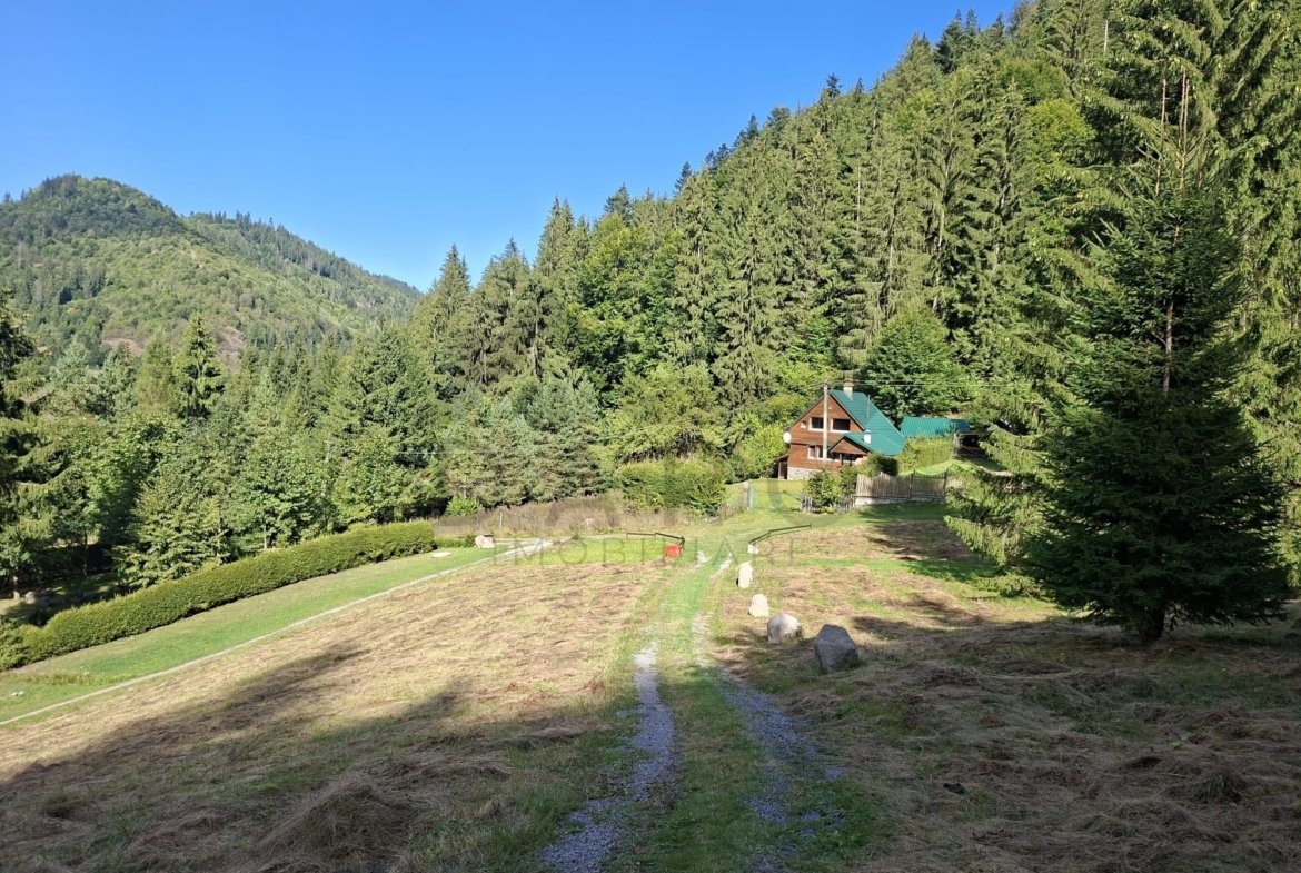 Teren intravilan la munte