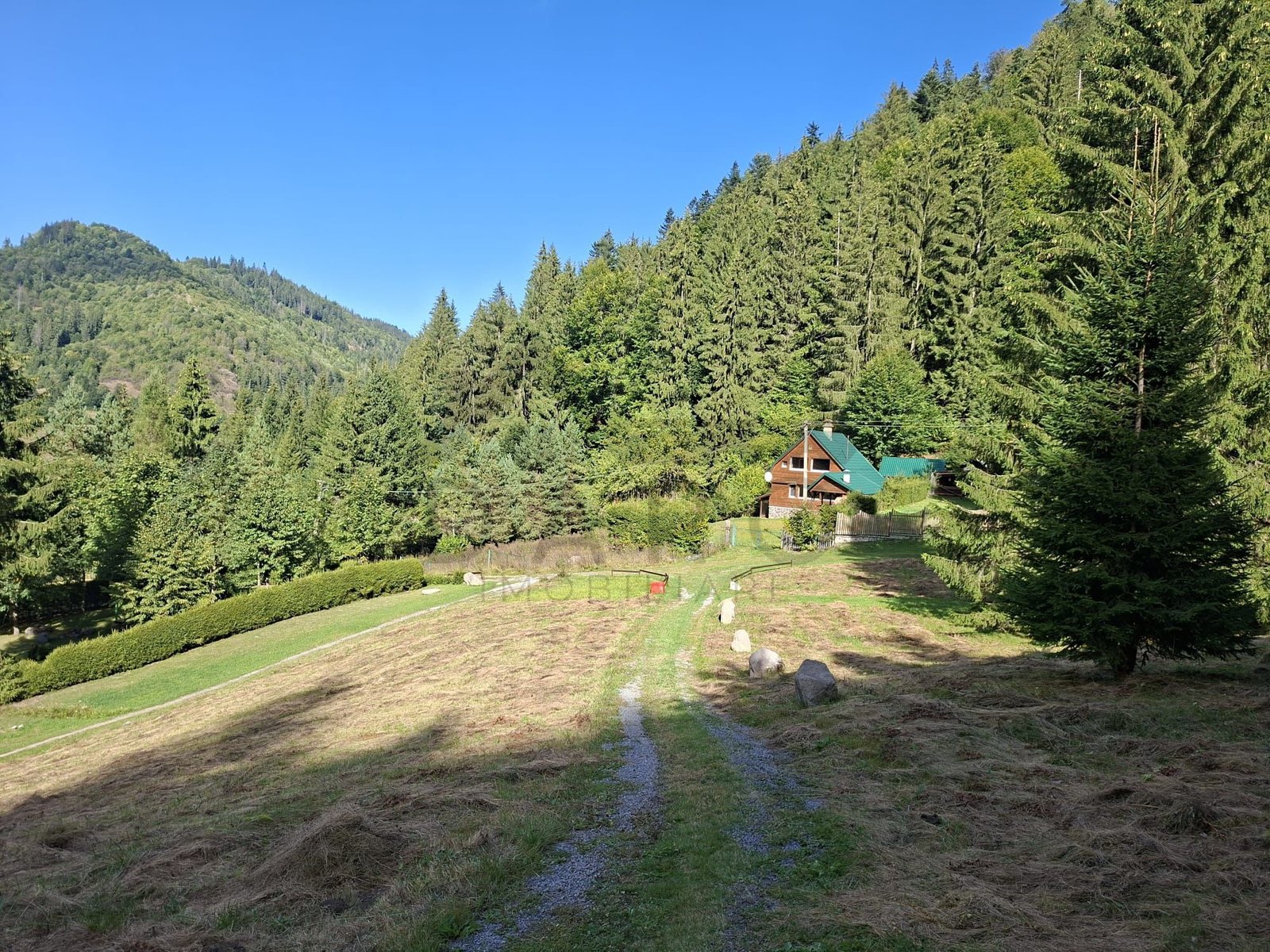 Teren intravilan la munte