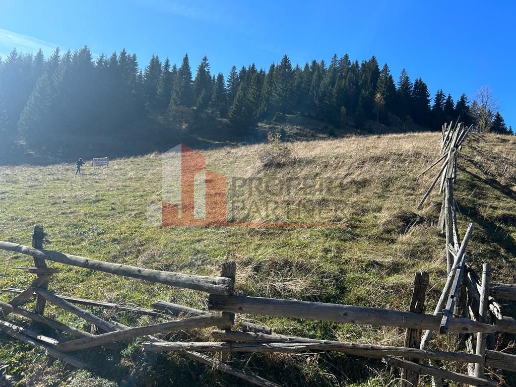 Teren Fundatica intravilan 4500 mp