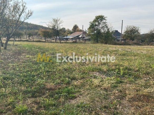 Teren intravilan – 1135 mp – Merisani
