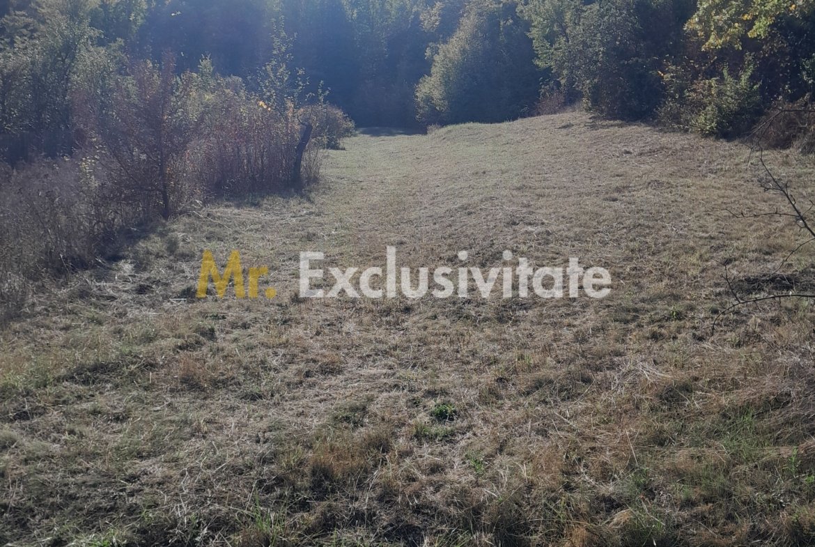 TEREN DE VANZARE IN BABANA, ARGES,  LANGA PADURE