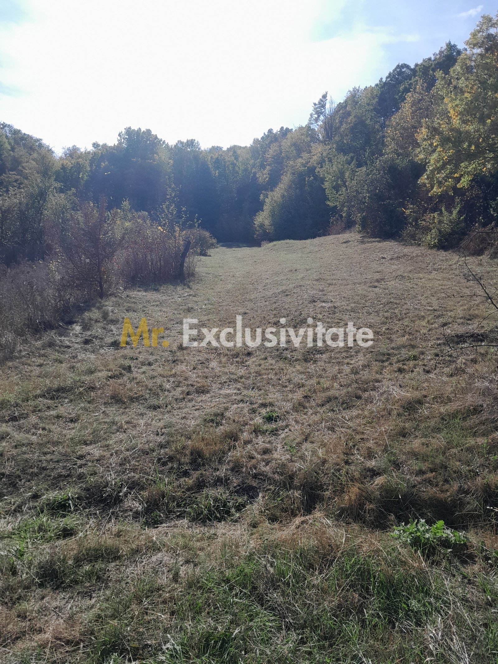 85df75ab24af4e76a2b1d808641b7f66 TEREN DE VANZARE IN BABANA, ARGES, LANGA PADURE