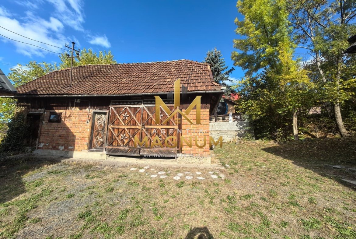 Gospodarie de vanzare/schimb in Danesti Maramures