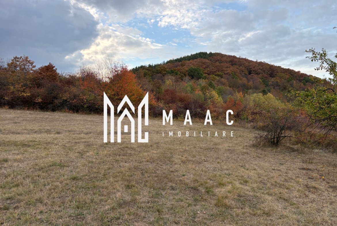 Teren de vânzare 5.000 mp | Poplaca | lângă pădure