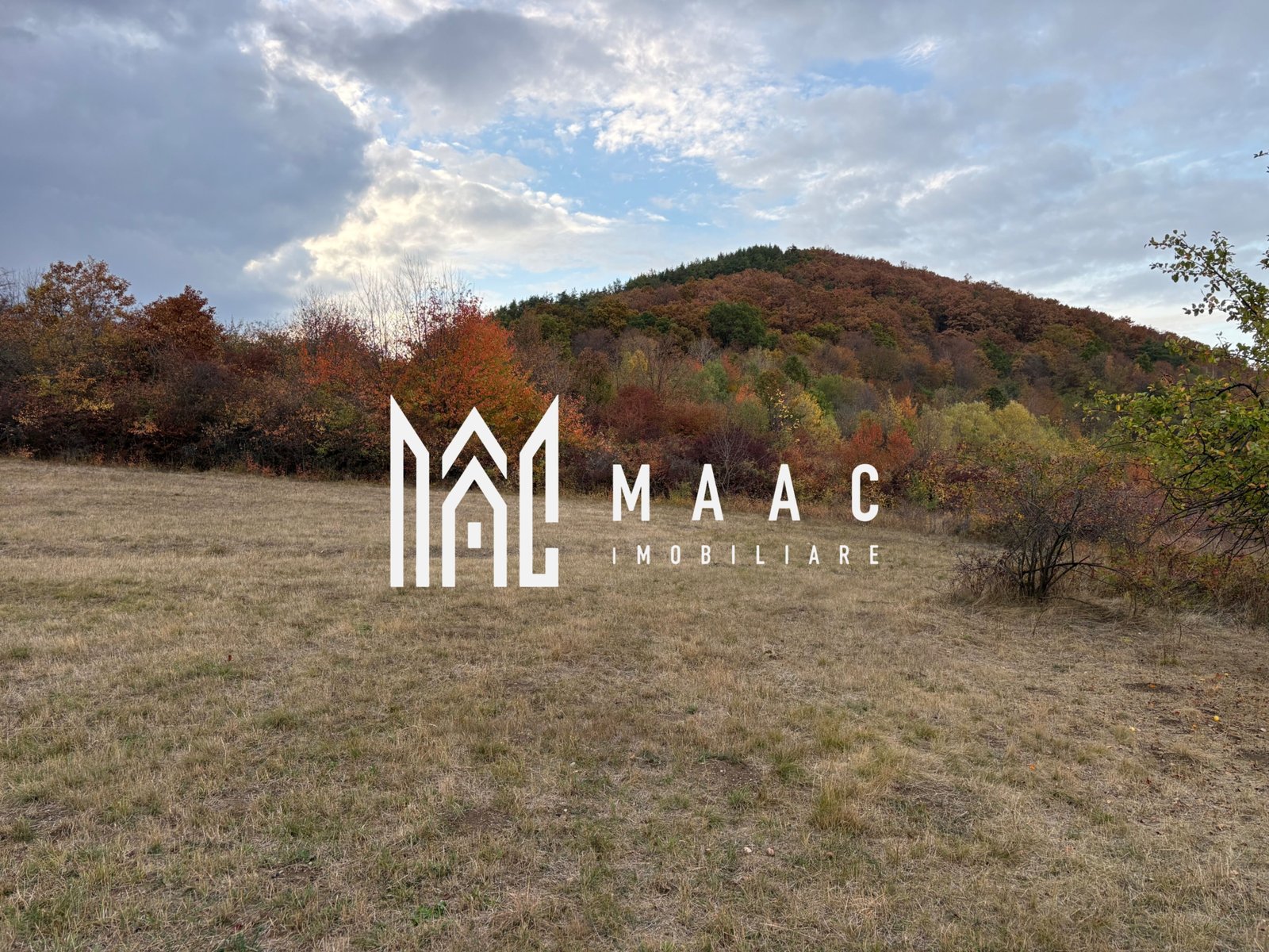 86cbd2b645924c729425ff5c4e681d6f Teren de vânzare 5.000 mp | Poplaca | lângă pădure