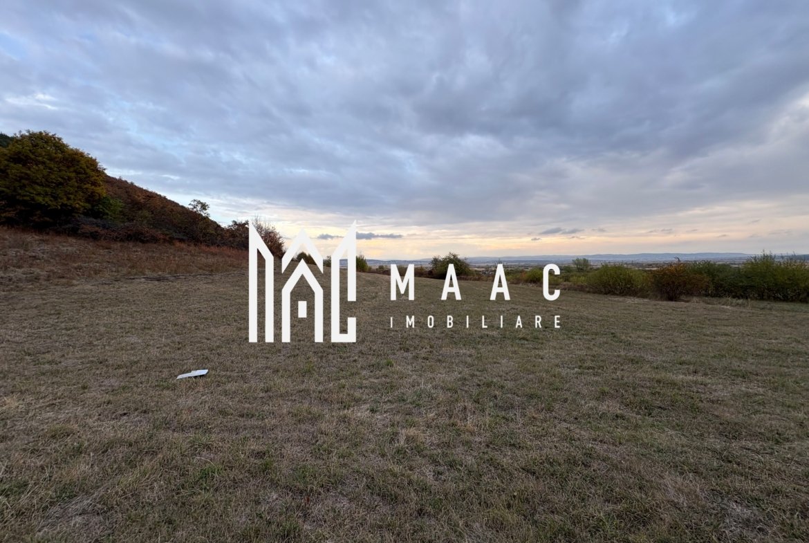Teren de vânzare 5.000 mp | Poplaca | lângă pădure
