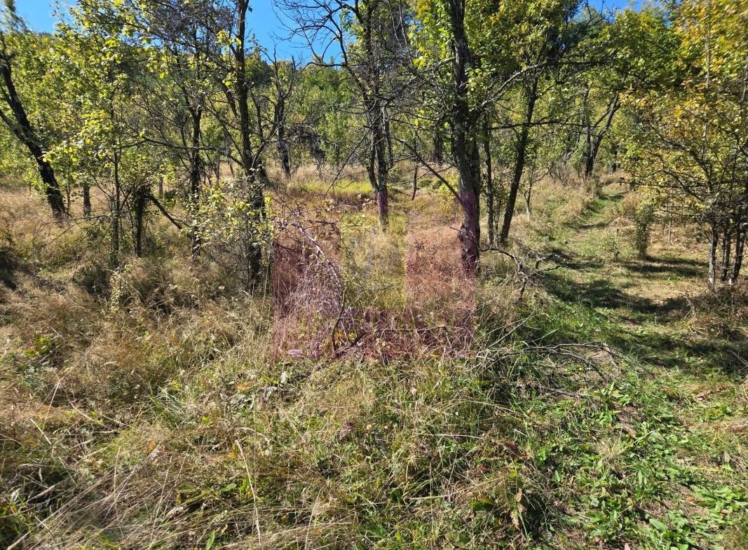 Teren extravilan de 10.452 mp de vanzare in Lunca Mare