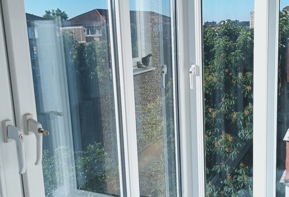 Apartament 3 camere, mobilat, 2 balcoane, Calea Lipovei, Timișoara