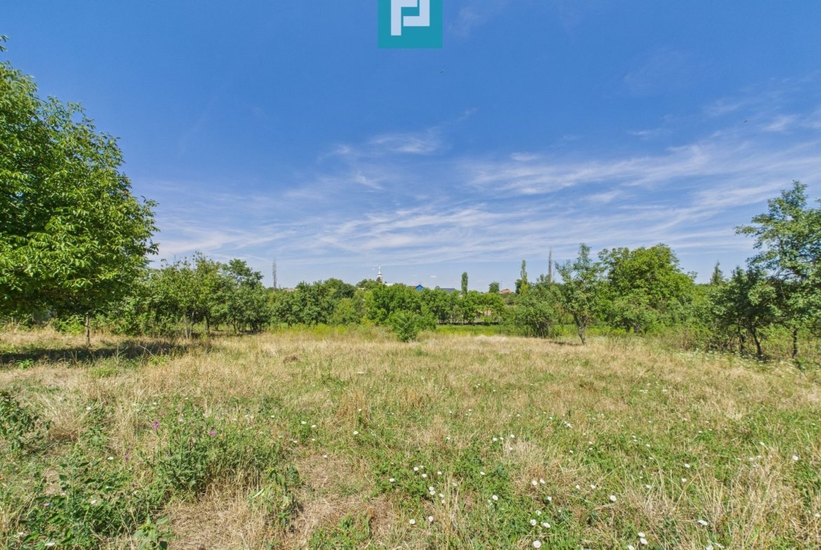 Teren 4919 mp– Comuna Călacea