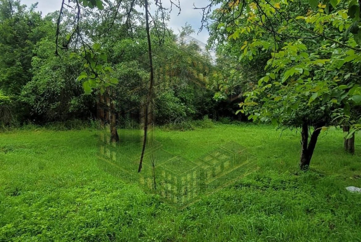 Casa individuala, renovata, teren 5 ha, Glodghilesti, Hunedoara