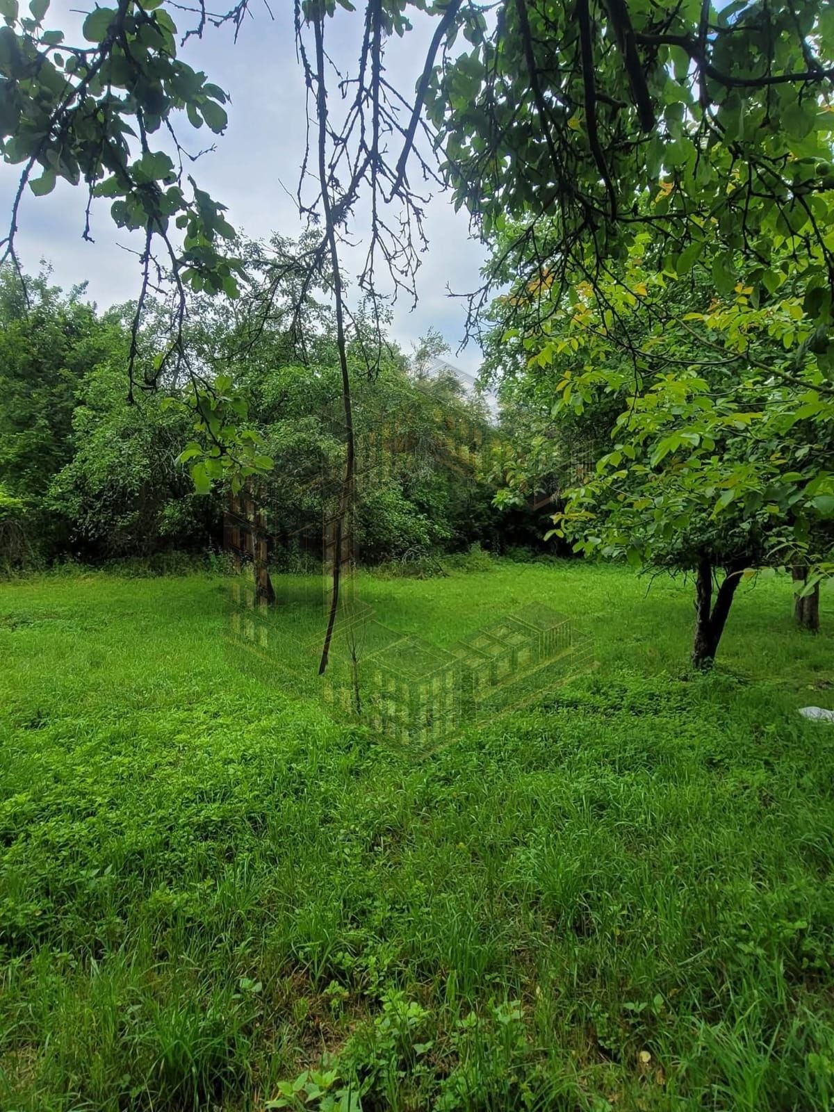 Casa individuala, renovata, teren 5 ha, Glodghilesti, Hunedoara