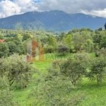 Teren intravilan 1.000 mp în Bran–Sohodol, vedere la munți Bucegi