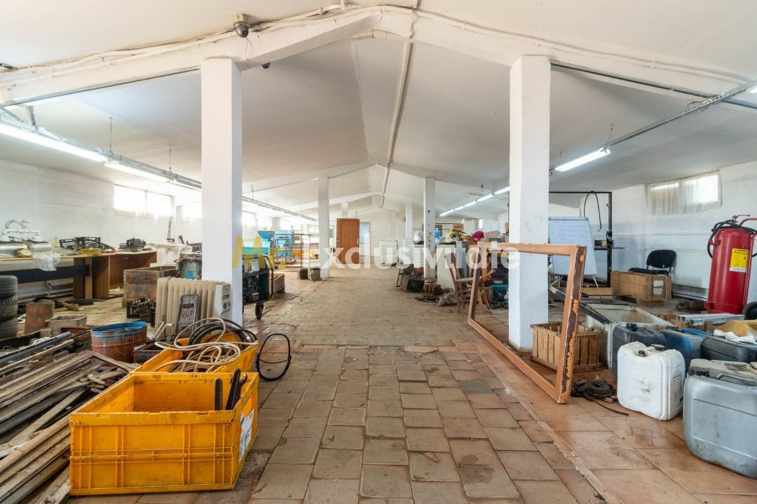 Hala industrial-comerciala Căteasca, Argeș | 12.600 mp teren