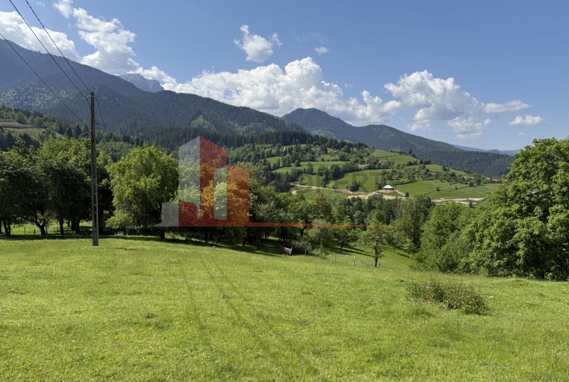 Teren cu priveliște spectaculoasă în Bran – Sohodol