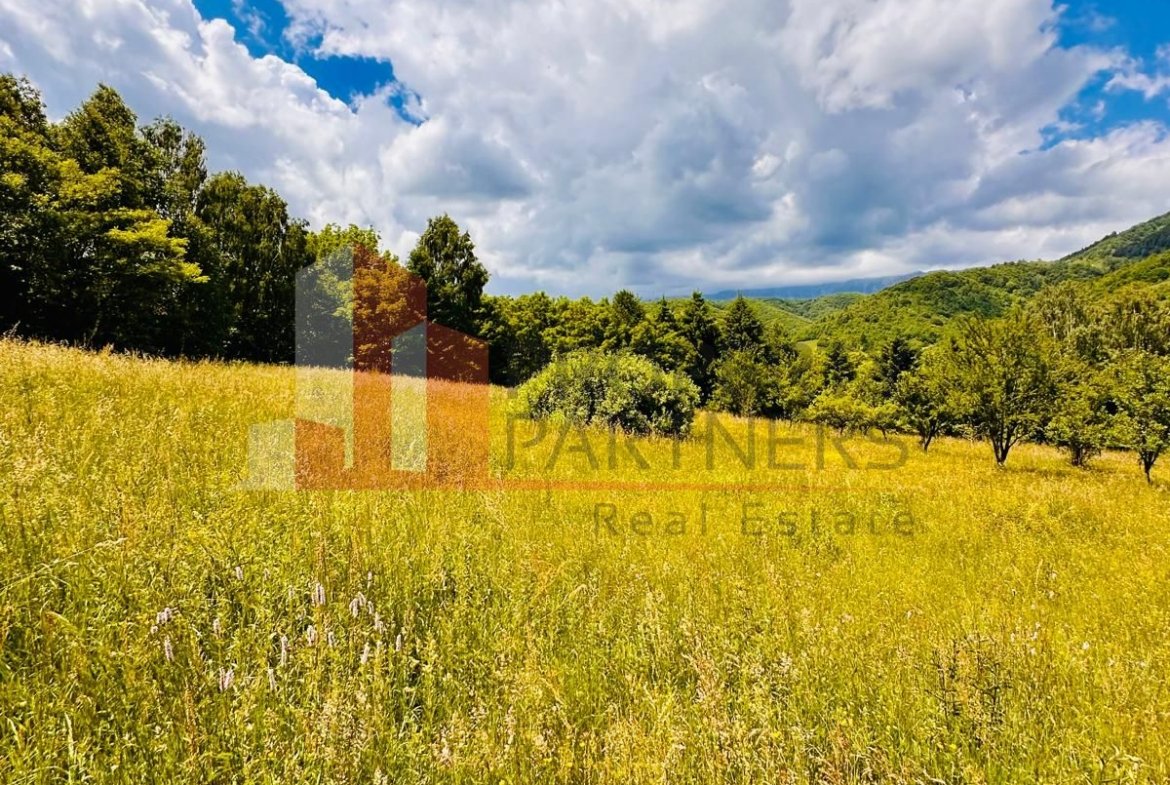Teren intravilan Bran 2.772 mp | Vedere Piatra Craiului | Potrivit pentru cabane