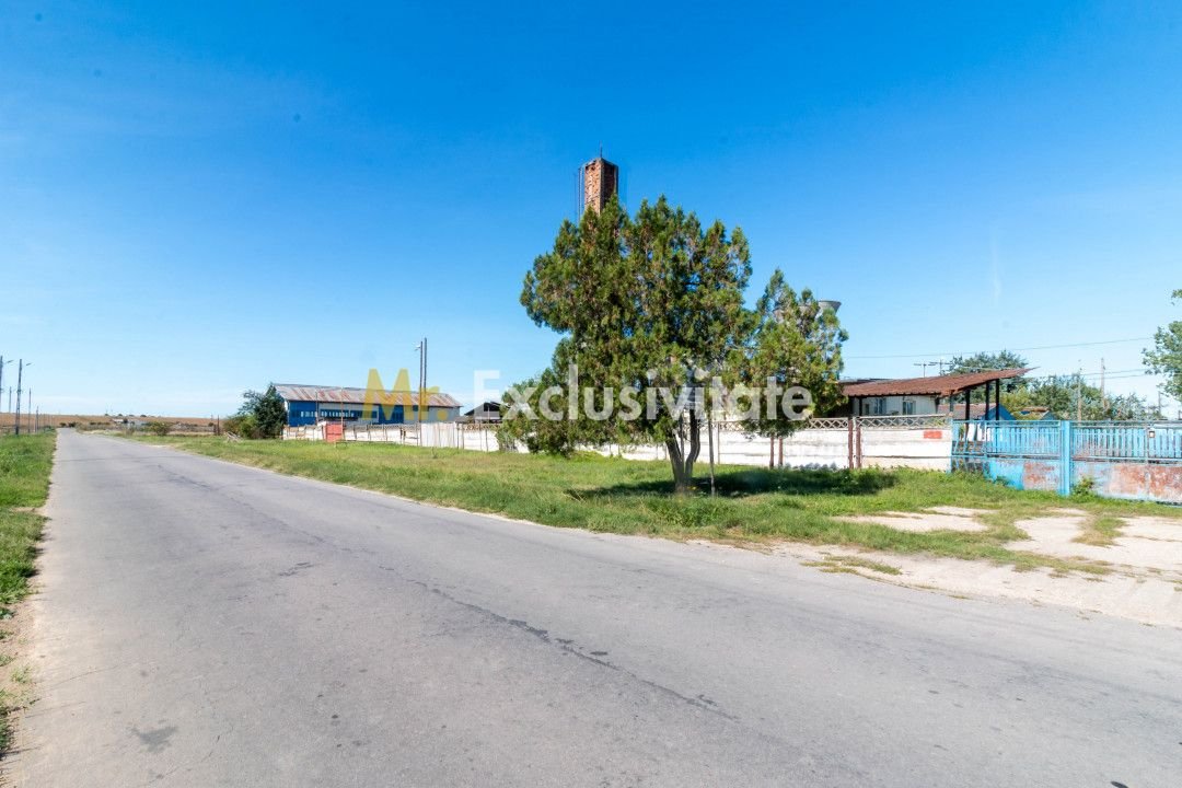 Hala industrial-comerciala Căteasca, Argeș | 12.600 mp teren