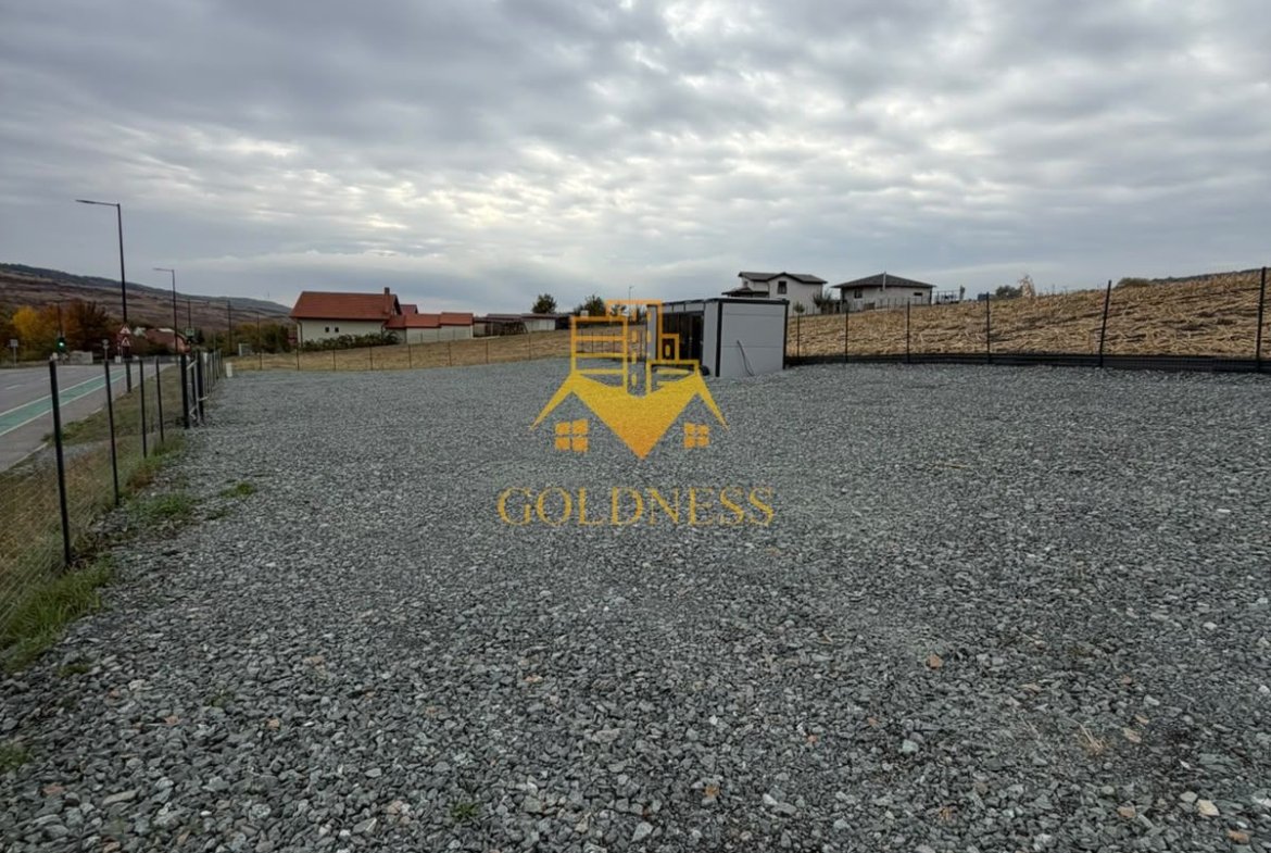 TEREN, 1000 MP, FRONT 57 ML,CONTAINER BIROU, VALEA CHINTAULUI