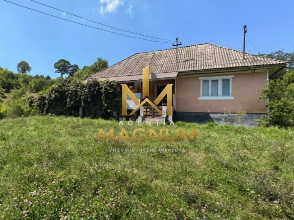 Casa de vanzare in Berinta Maramures