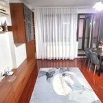 Obor /Iancului apartament 2 camere bloc nou centrala proprie