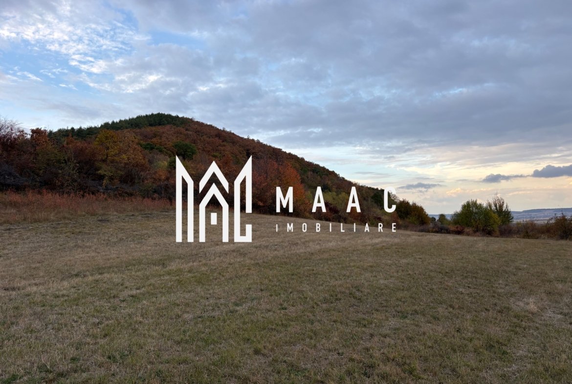 Teren de vânzare 5.000 mp | Poplaca | lângă pădure