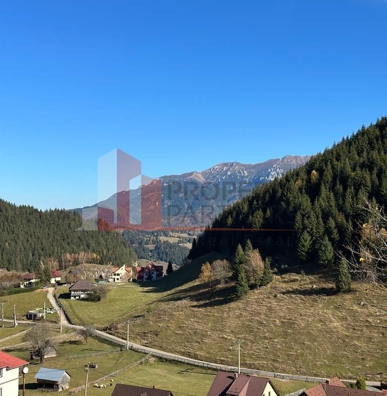 Teren Fundatica intravilan 4500 mp