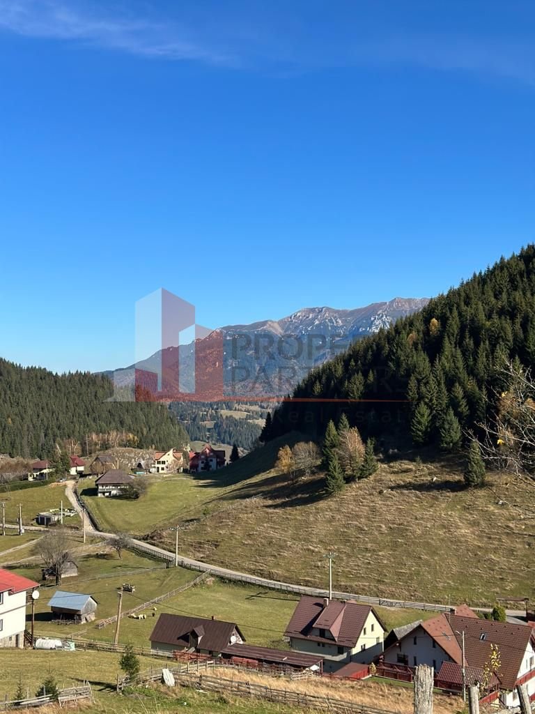 Teren Fundatica intravilan 4500 mp